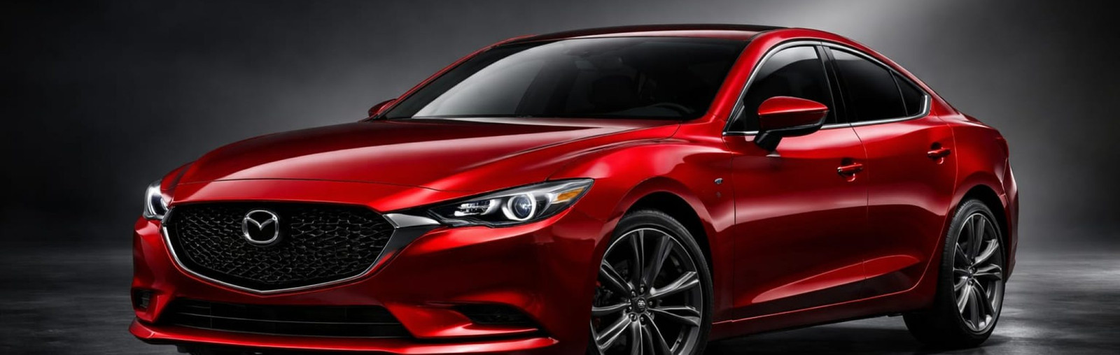 WhatsApp Image 2026-02-12 at 6.06.27 PM